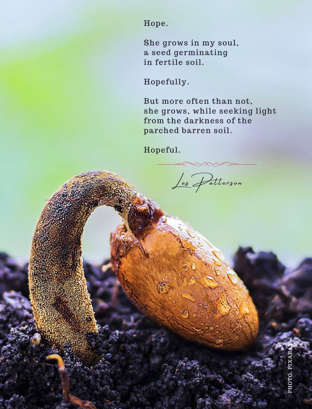 Picture of a seed sprouting from rich soil with the words to the poem Hopeful over the photo.